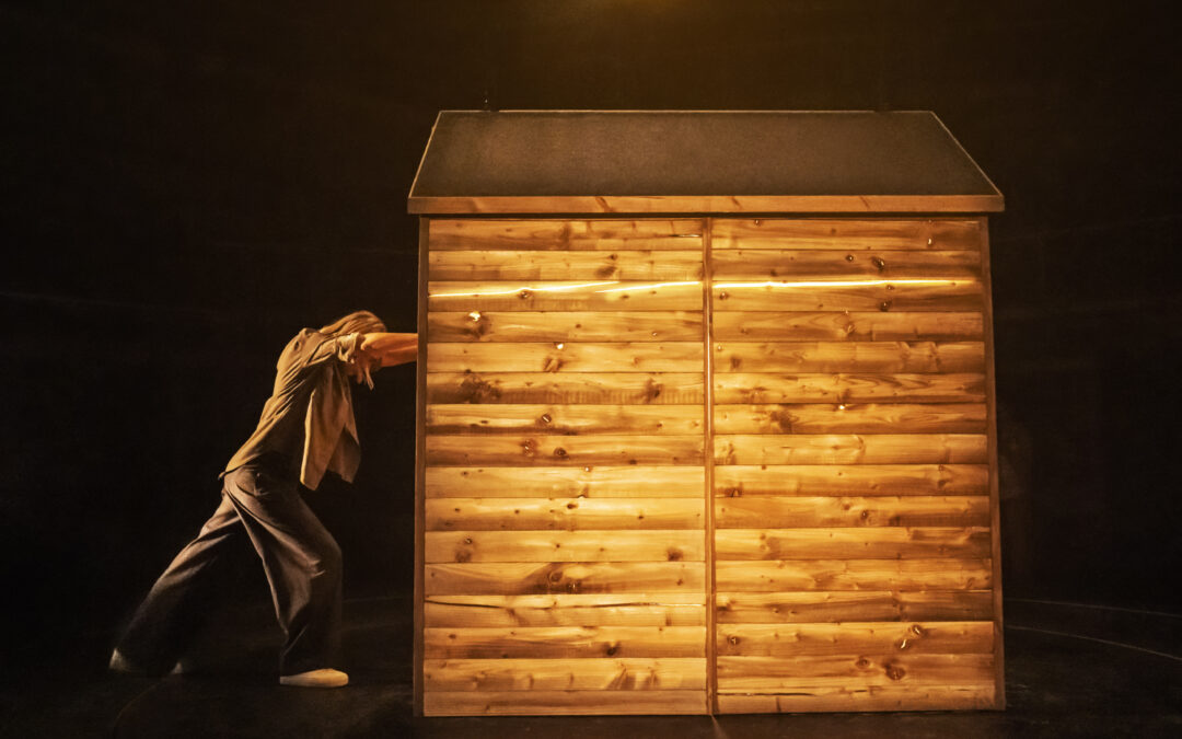 Shed: Exploded View